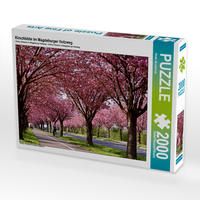 Produktbild: CALVENDO Puzzle Kirschbl&uuml;te im Magdeburger Holzweg | 2000 Teile Lege-Gr&ouml;&szlig;e 90x67cm Foto-Puzzle f&uuml;r gl&uuml;ckliche Stunden