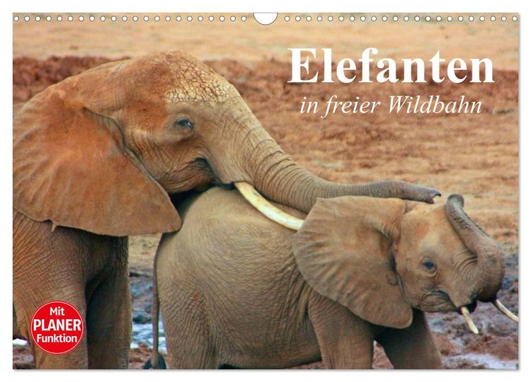 Produktbild: Elefanten in freier Wildbahn (Wandkalender 2026 DIN A3 quer), CALVENDO Monatskalender