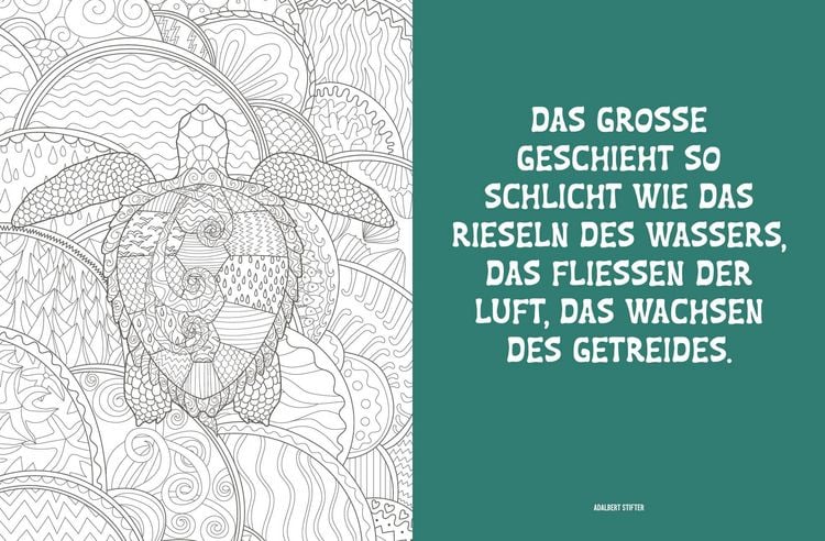 Produktbild: Colorful Mandala &ndash; Mandala &ndash; Natur und Entspannung