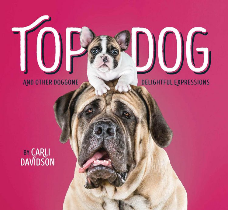 Produktbild: Top Dog