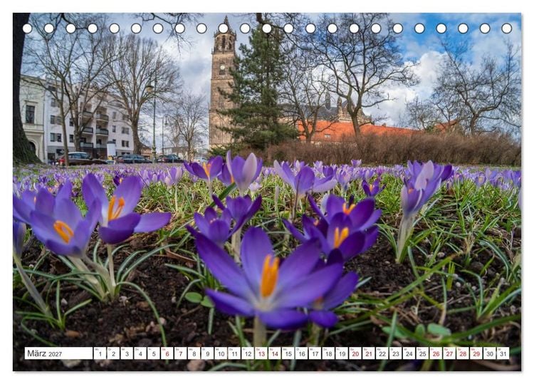 Produktbild: Domperspektiven: Magdeburger Dom - Neu gesehen 2027 (Tischkalender 2027 DIN A5 quer), CALVENDO Monatskalender