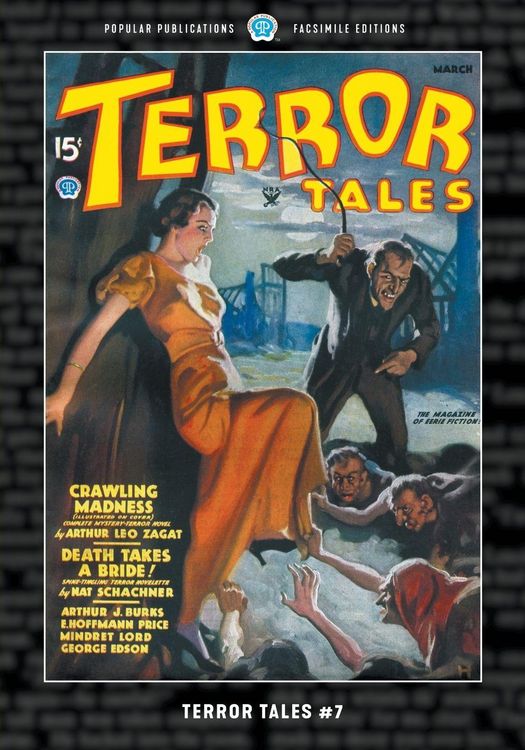 Produktbild: Terror Tales #7