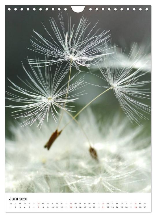 Produktbild: Natur-Romantik (Wandkalender 2026 DIN A4 hoch), CALVENDO Monatskalender