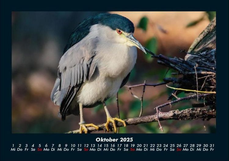 Produktbild: Der Tierkalender 2025 Fotokalender DIN A4