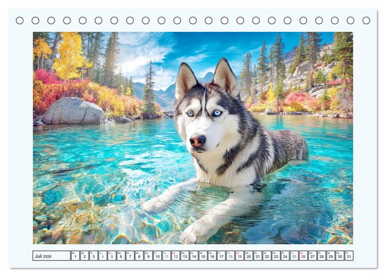 Produktbild: Siberian Husky. Kraftvolle Hunde voller Lebenslust und Energie (Tischkalender 2026 DIN A5 quer), CALVENDO Monatskalender