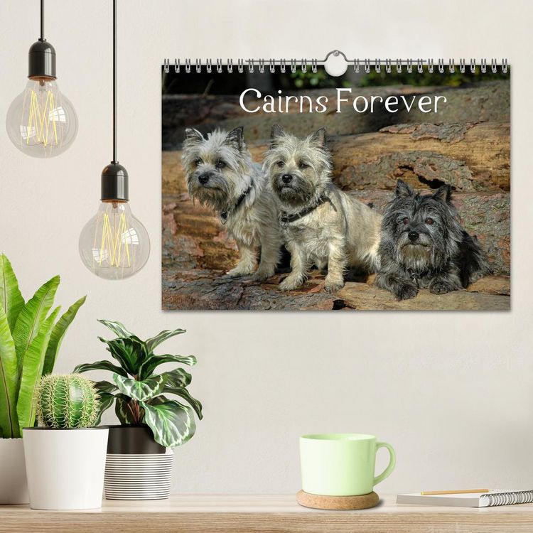 Produktbild: Cairns Forever (Wandkalender 2026 DIN A4 quer), CALVENDO Monatskalender