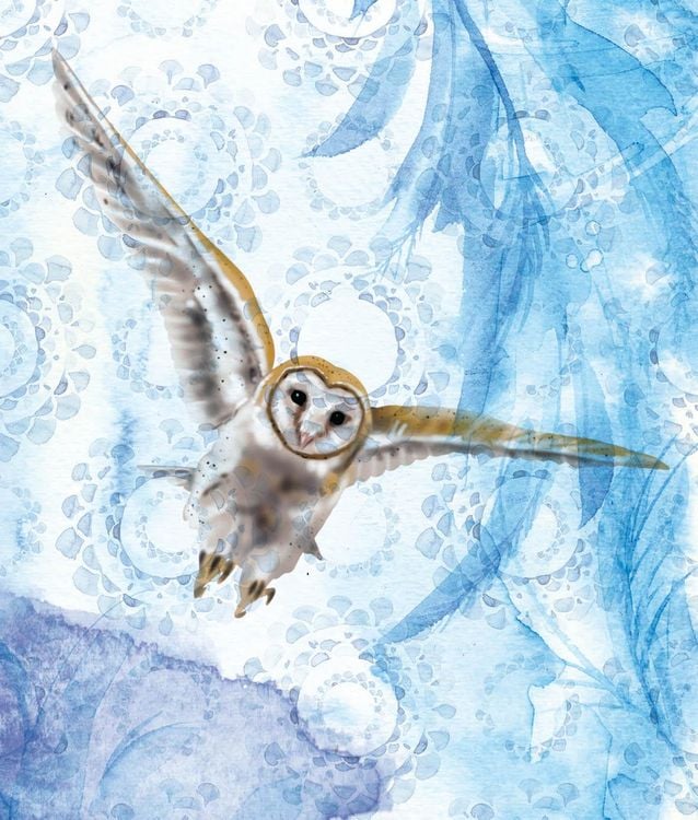 Produktbild: Malbuch Inside Out: Winterwonderland