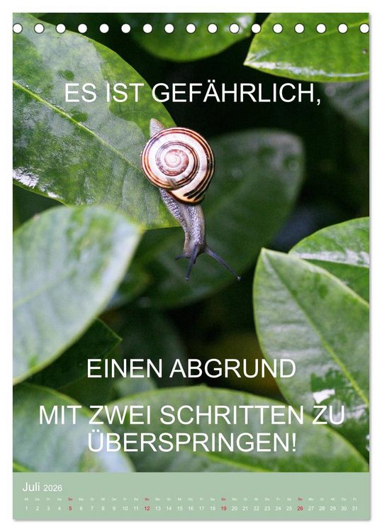 Produktbild: Nimm das Leben leicht, auch wenn's manchmal schwerf&auml;llt (Tischkalender 2026 DIN A5 hoch), CALVENDO Monatskalender