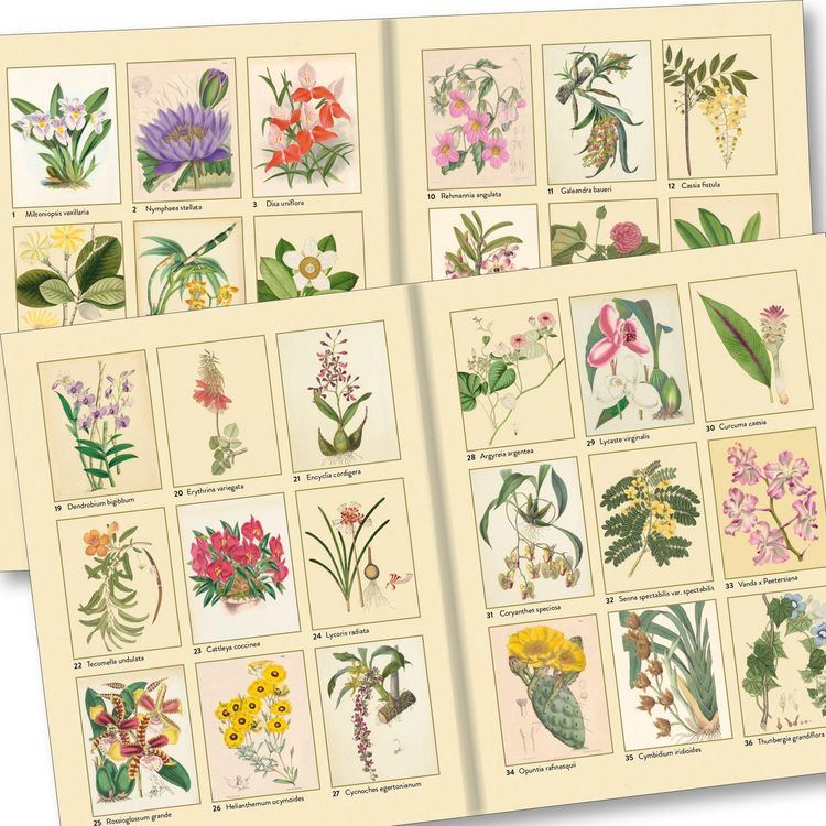 Produktbild: Kew Gardens - Florale Ausmaltr&auml;ume