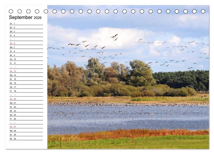 Produktbild: Die Jahreszeiten im Havelland (Tischkalender 2026 DIN A5 quer), CALVENDO Monatskalender