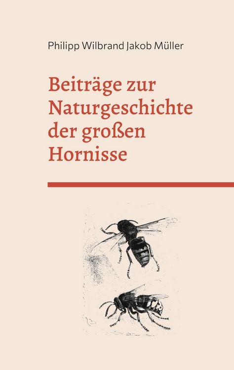 Produktbild: Beitr&auml;ge zur Naturgeschichte der gro&szlig;en Hornisse