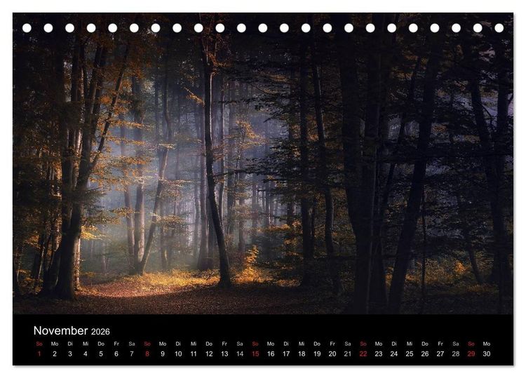 Produktbild: Mysterium Wald (Tischkalender 2026 DIN A5 quer), CALVENDO Monatskalender