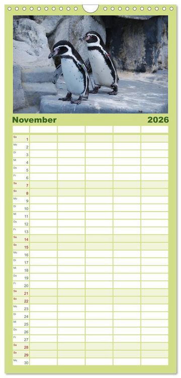 Produktbild: Familienplaner 2026 - Pinguine 2026 mit 5 Spalten (Wandkalender, 21 x 45 cm) CALVENDO