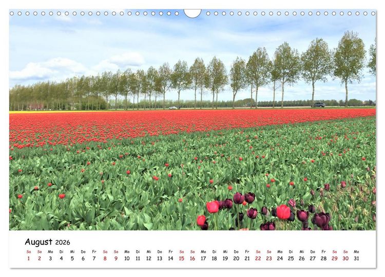 Produktbild: Tulpenbl&uuml;te in Flevoland 2026 (Wandkalender 2026 DIN A3 quer), CALVENDO Monatskalender