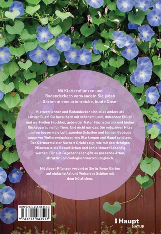 Produktbild: Kletterpflanzen und Bodendecker