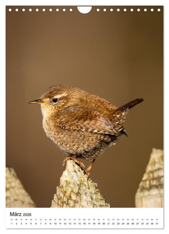 Produktbild: Heimische V&ouml;gel in Ihren G&auml;rten (Wandkalender 2026 DIN A4 hoch), CALVENDO Monatskalender