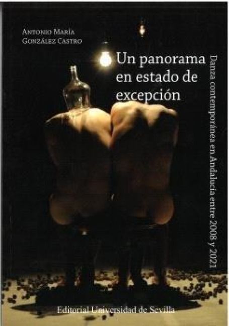 Produktbild: Un panorama en estadod excepci&oacute;n