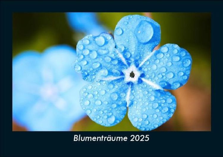 Produktbild: Blumenträume 2025 Fotokalender DIN A5