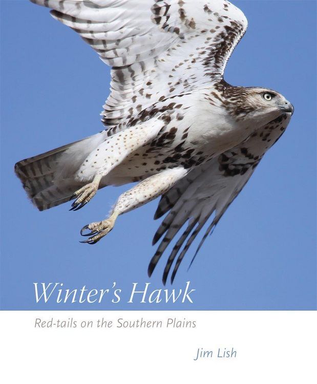 Produktbild: Winter's Hawk