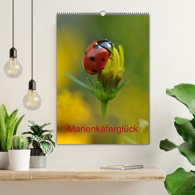 Produktbild: Marienk&auml;fergl&uuml;ck (Wandkalender 2026 DIN A2 hoch), CALVENDO Monatskalender