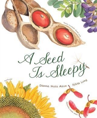 Produktbild: Seed Is Sleepy