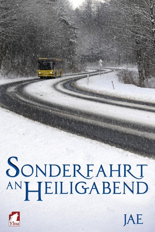 Produktbild: Sonderfahrt an Heiligabend