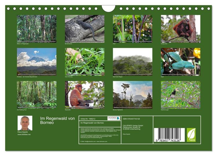 Produktbild: Im Regenwald von Borneo (Wandkalender 2026 DIN A4 quer), CALVENDO Monatskalender