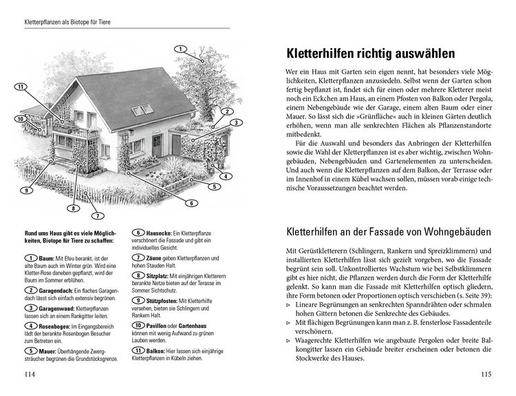 Produktbild: Gr&uuml;ne W&auml;nde f&uuml;r Haus und Garten