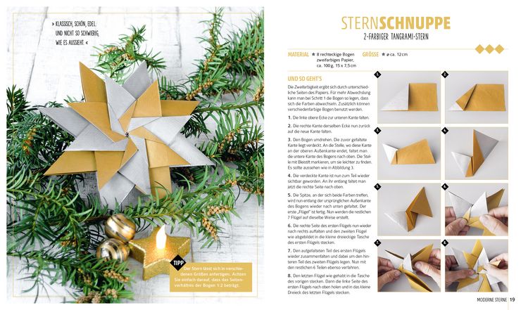 Produktbild: Noch mehr Weihnachtssterne? Gerne!