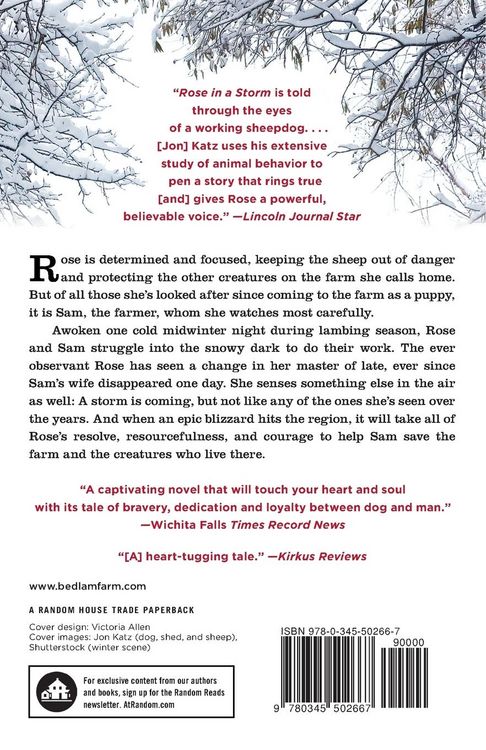 Produktbild: Rose in a Storm