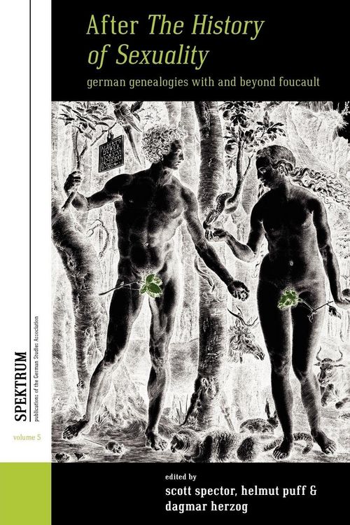 Produktbild: After The History of Sexuality