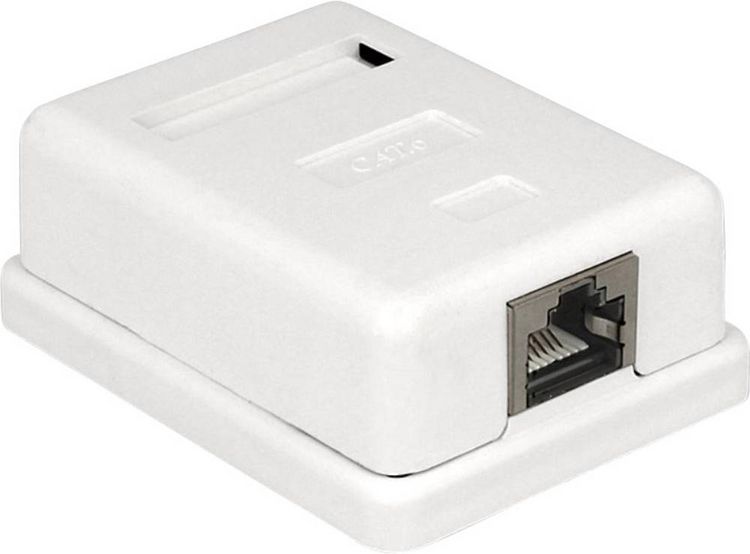 Produktbild: Delock 86169 Netzwerkdose Aufputz, Ger&auml;temontage Einsatz mit Zentralplatte und Rahmen CAT 6 1 Port Wei&szlig;