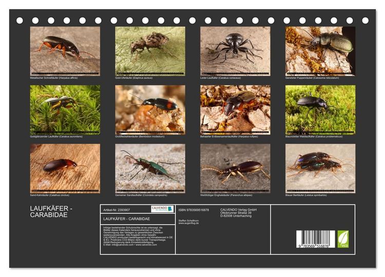 Produktbild: LAUFK&Auml;FER - CARABIDAE (Tischkalender 2027 DIN A5 quer), CALVENDO Monatskalender