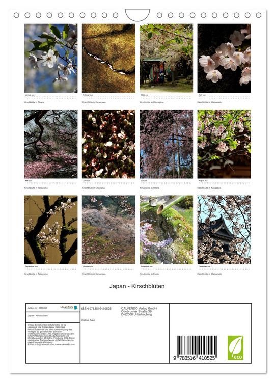 Produktbild: Japan - Kirschbl&uuml;ten (Wandkalender 2026 DIN A4 hoch), CALVENDO Monatskalender