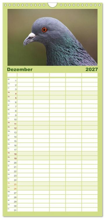 Produktbild: Familienplaner 2027 - Tauben in der Stadt mit 5 Spalten (Wandkalender, 21 x 45 cm) CALVENDO