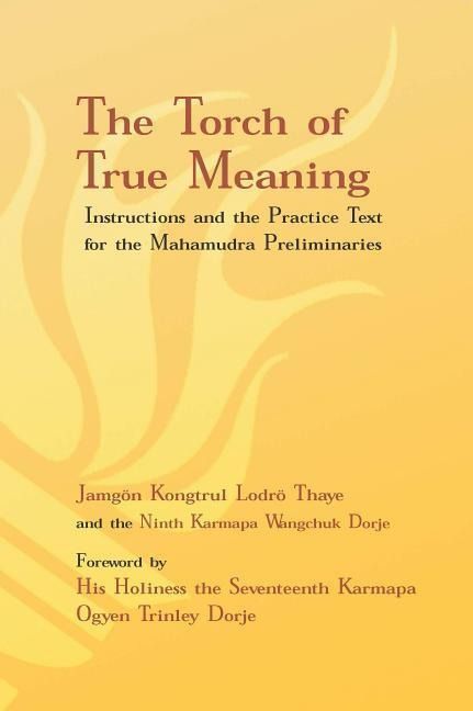 Produktbild: Torch of True Meaning