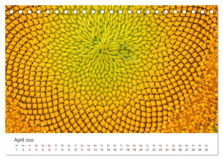 Produktbild: Sonnenblumen - Erstrahlen im freundlichen Gelb. (Tischkalender 2026 DIN A5 quer), CALVENDO Monatskalender