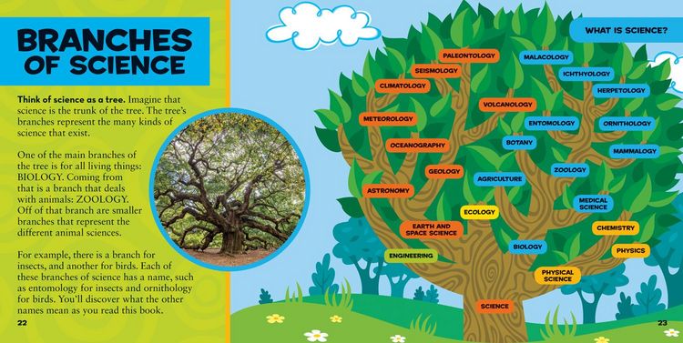 Produktbild: Little Kids First Big Book of Science