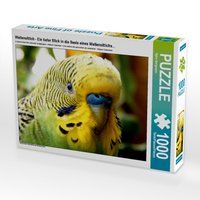 Produktbild: CALVENDO Puzzle Wellensittich - Ein tiefer Blick in die Seele eines Wellensittichs... 1000 Teile Lege-Gr&ouml;&szlig;e 64 x 48 cm Foto-Puzzle Bild von Bj&ouml;rn Bergmann