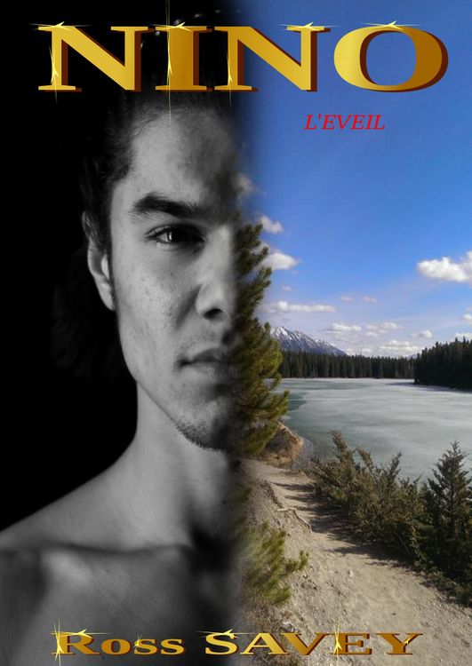 Produktbild: Nino (L'Eveil, #1)