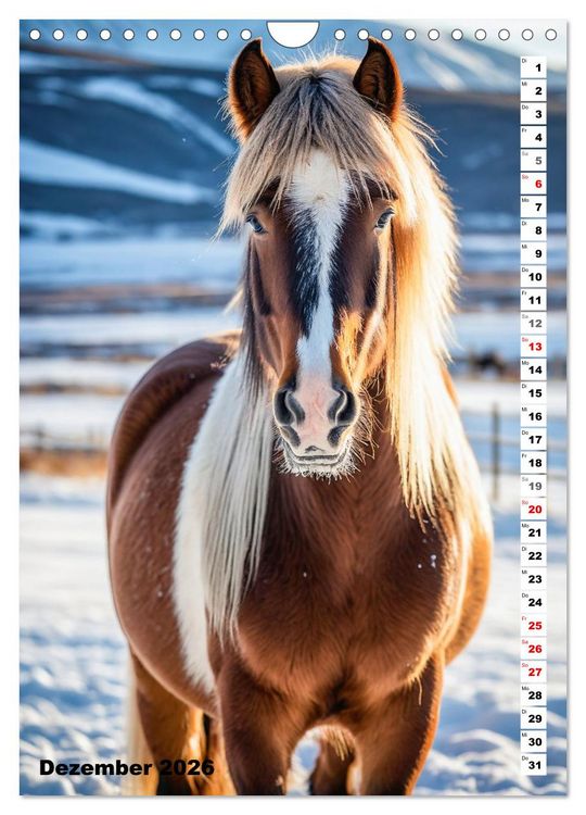 Produktbild: Pferdekalender - Wundersch&ouml;ne Pferde in Natur und Portraits (Wandkalender 2026 DIN A4 hoch), CALVENDO Monatskalender