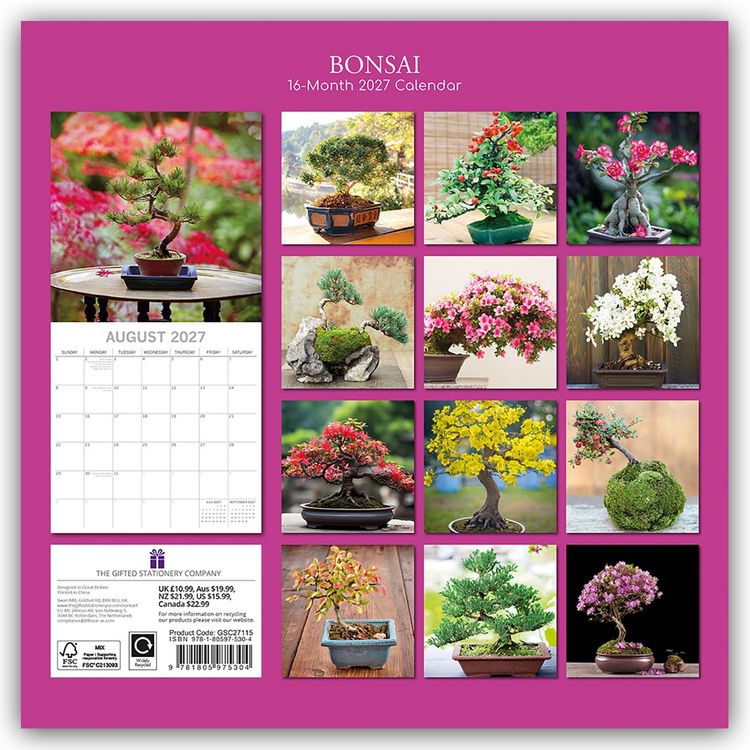 Produktbild: Bonsai &ndash; Bonsaib&auml;ume 2027 &ndash; 16-Monatskalender