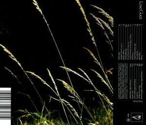 Produktbild: Love Goes