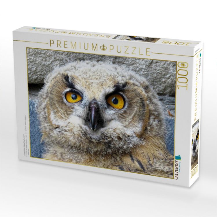 Produktbild: CALVENDO Puzzle Junger Uhu - Kassel-Lutherturm | 1000 Teile Lege-Gr&ouml;&szlig;e 64x48cm Foto-Puzzle f&uuml;r gl&uuml;ckliche Stunden