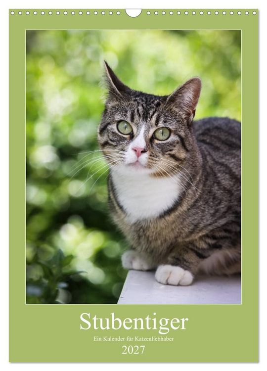 Produktbild: Stubentiger (Wandkalender 2027 DIN A3 hoch), CALVENDO Monatskalender