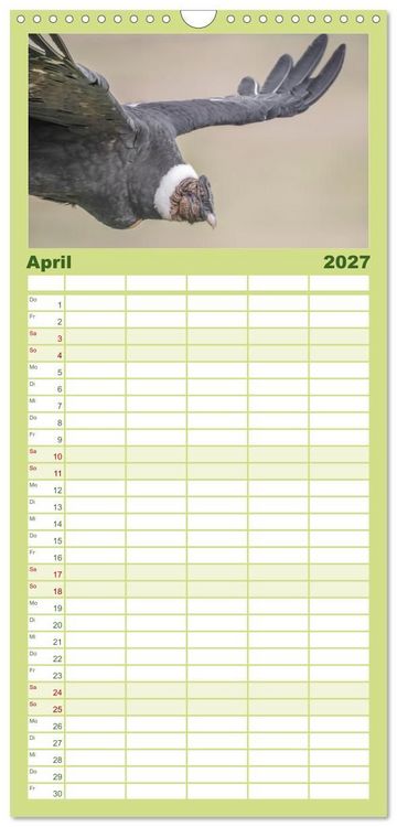 Produktbild: Familienplaner 2027 - Wildlife S&uuml;damerika mit 5 Spalten (Wandkalender, 21 x 45 cm) CALVENDO