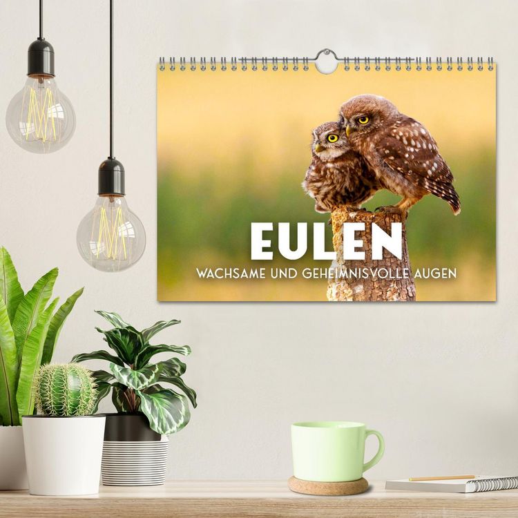Produktbild: Eulen - Wachsame und geheimnisvolle Augen (Wandkalender 2026 DIN A4 quer), CALVENDO Monatskalender