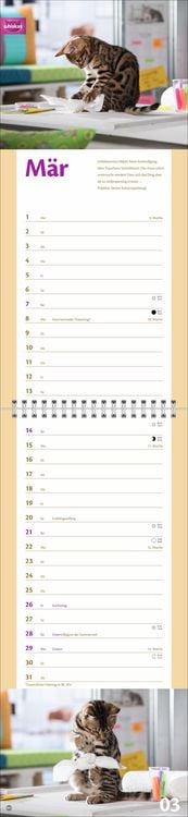 Produktbild: Whiskas Katzenleben Kalender 2027