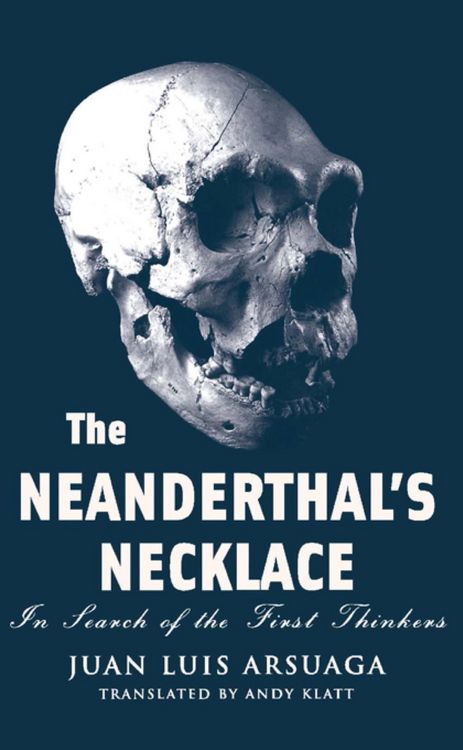 Produktbild: The Neanderthal's Necklace