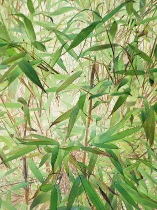 Produktbild: CALVENDO Puzzle Belebender Bambus | 1000 Teile Lege-Gr&ouml;&szlig;e 64x48cm Foto-Puzzle f&uuml;r gl&uuml;ckliche Stunden